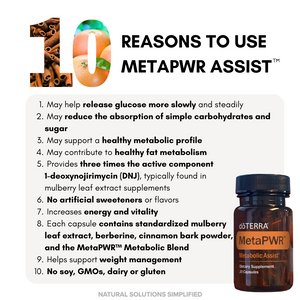 MetaPWR™ Assist - 30 Capsules