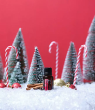 Load image into Gallery viewer, Holiday Joy 15mL with Free Aroma Clip